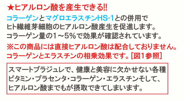 ヒアルロン酸産生の促進作用
