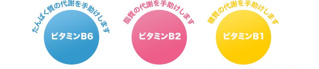 ビタミンB6はたんぱく質の代謝を手助けします。ビタミンB2は脂質の代謝を手助けします。ビタミンB1は糖質の代謝を手助けします。
