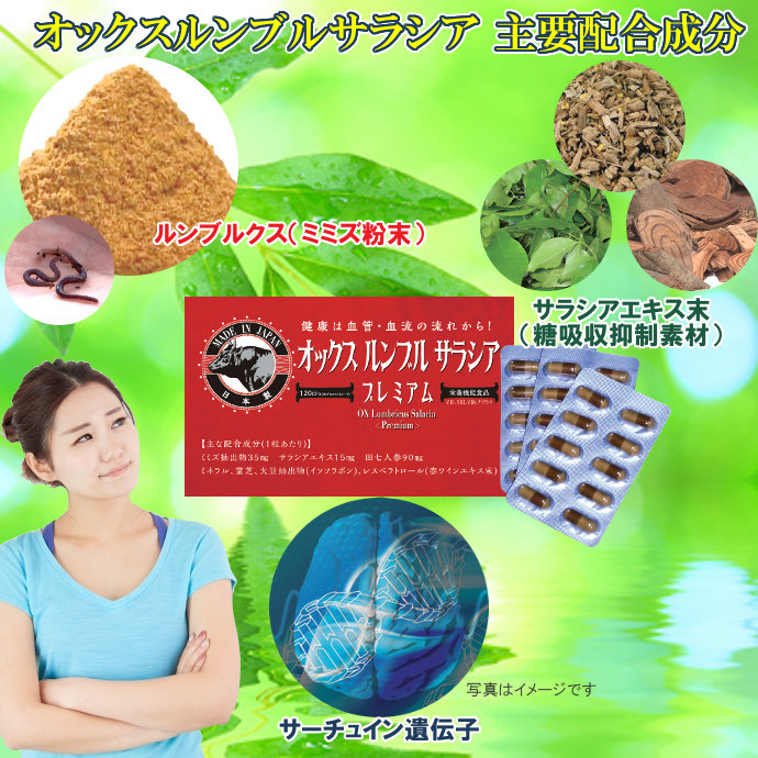 オックスルンブルサラシア 主な配合成分