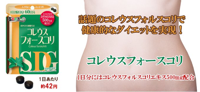 コレウスフォースコリ