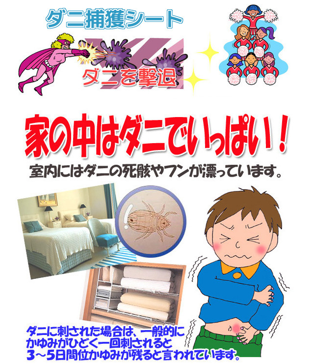 家の中はダニでいっぱい!