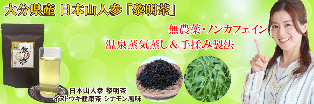 日本山人参 黎明茶 2g×15包