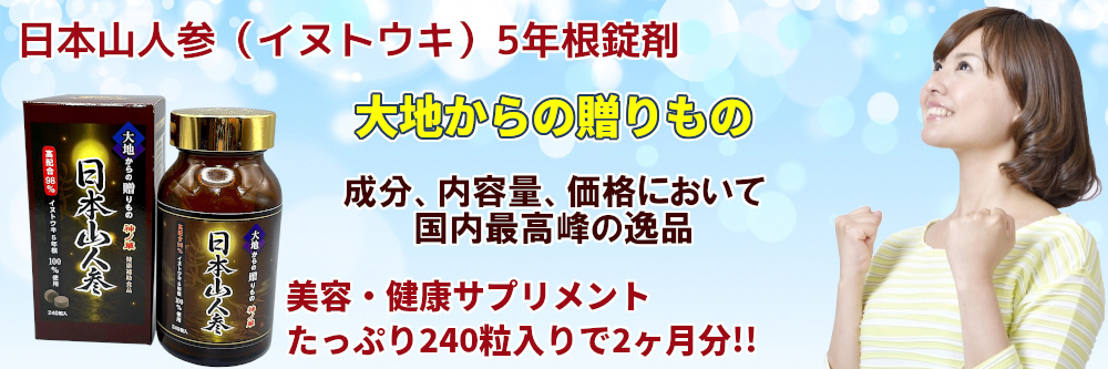 日本山人参（イヌトウキ） 5年根錠剤 240粒