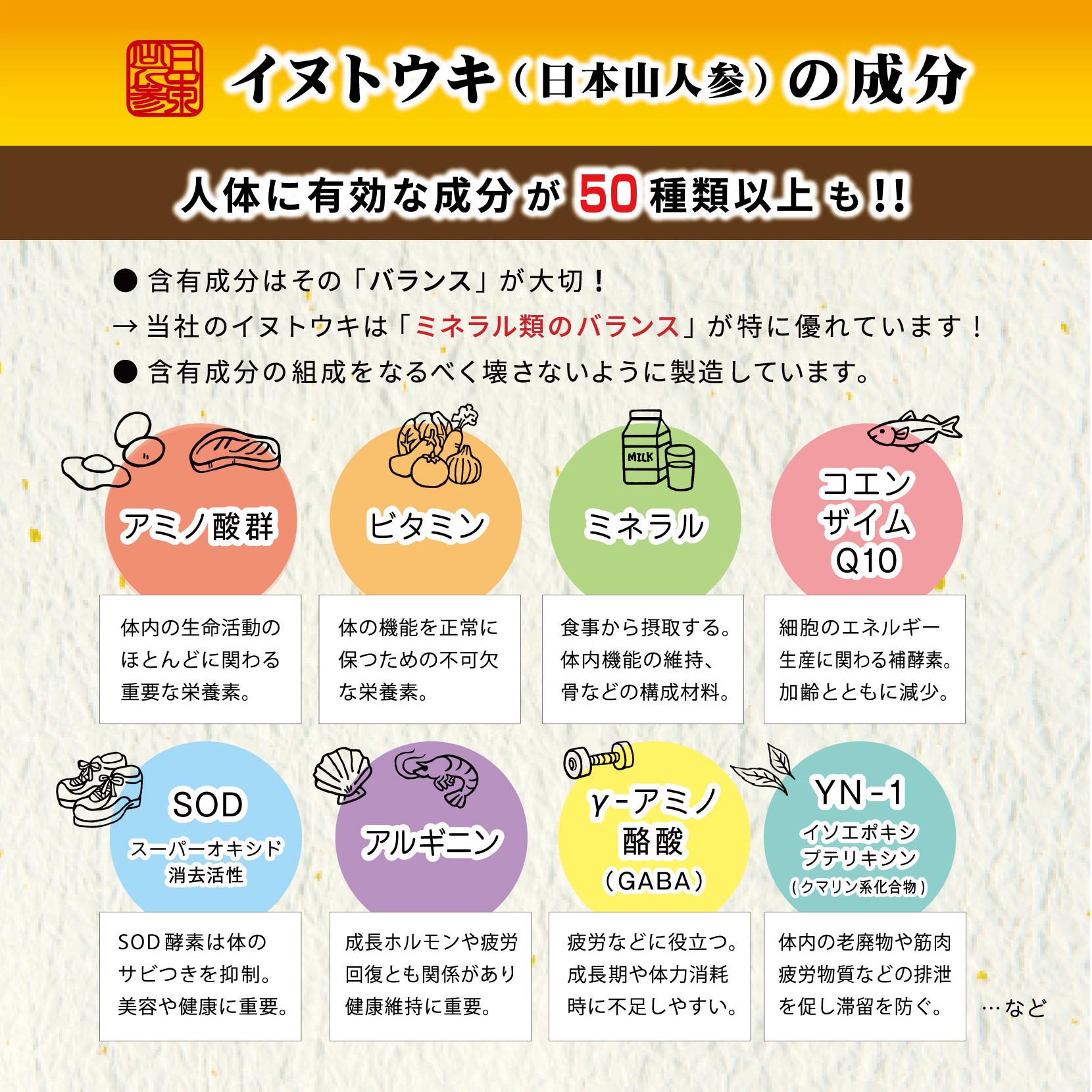 イヌトウキ（日本山人参）の成分