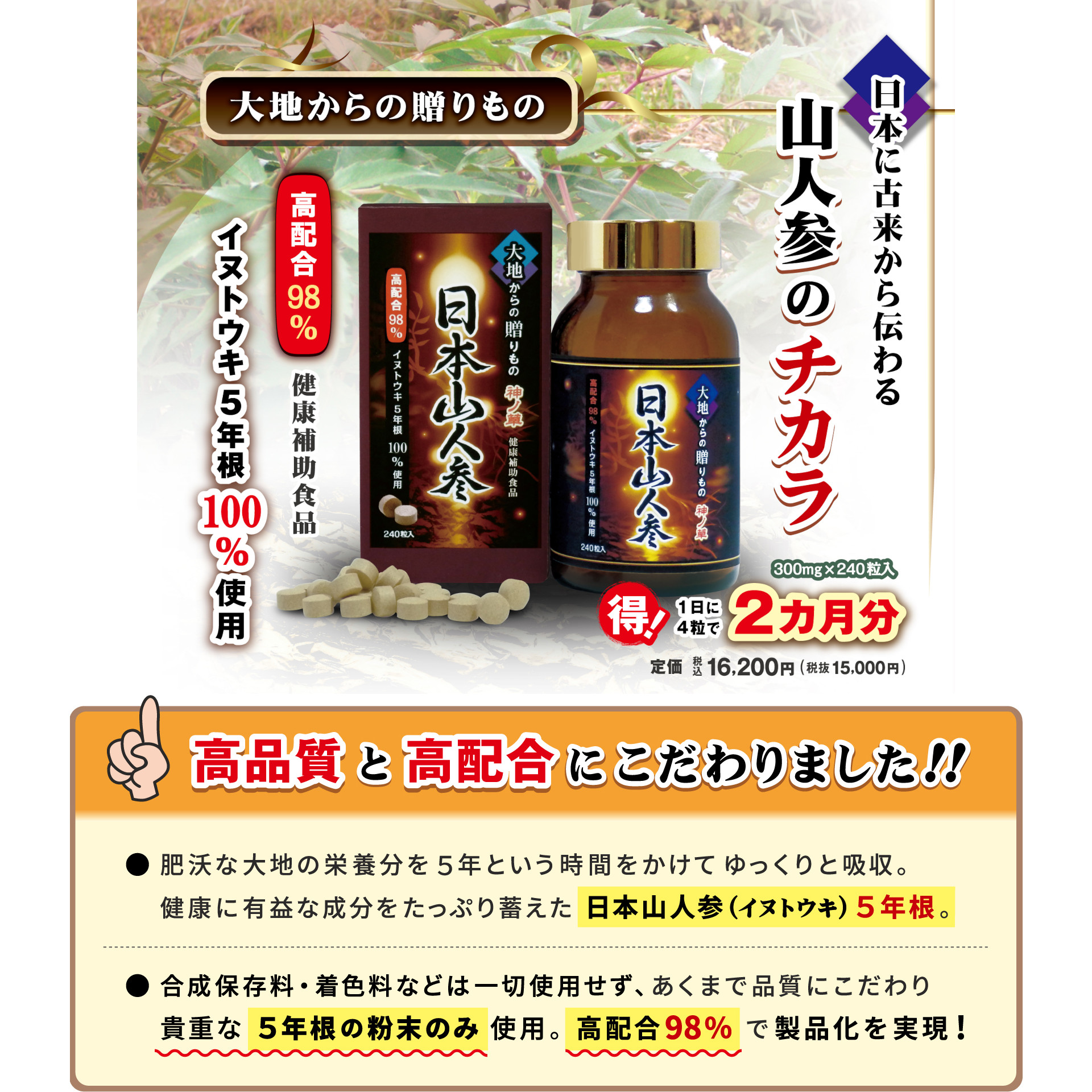 日本山人参（イヌトウキ） 5年根錠剤 240粒